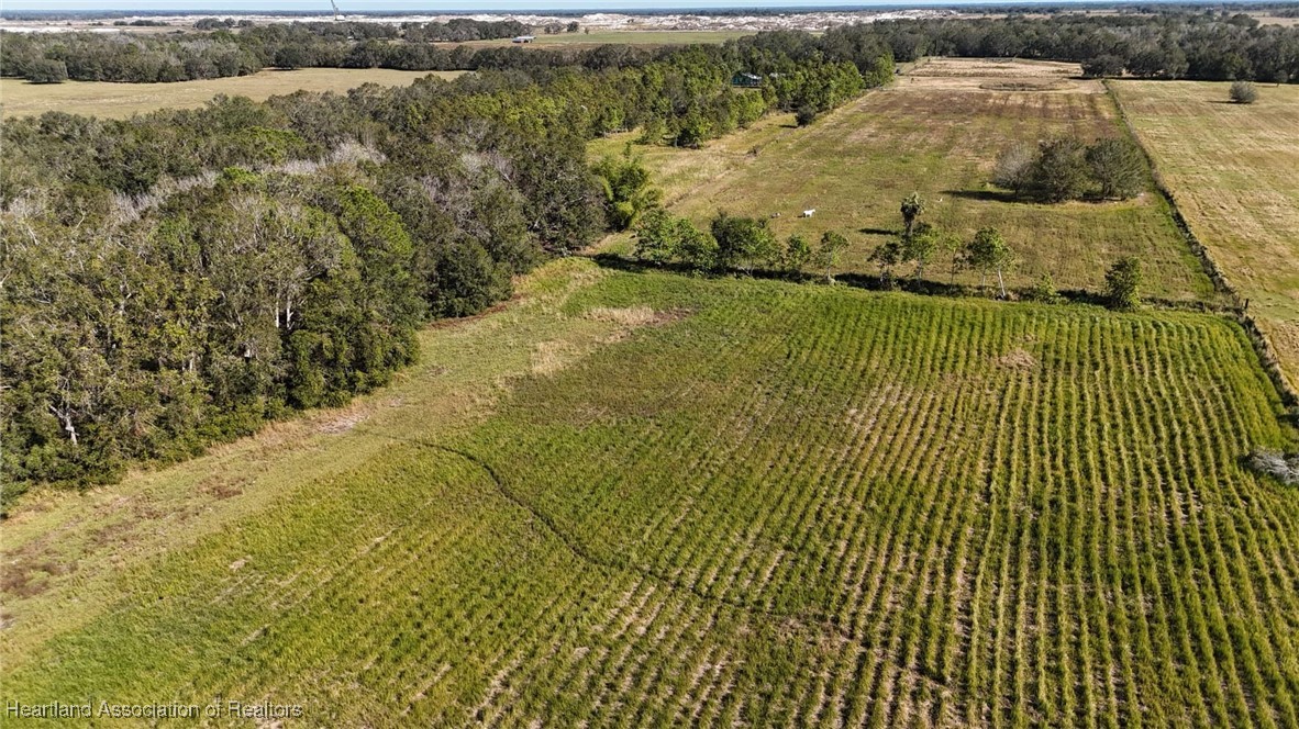 3605 Rabbit Run Road Wauchula, FL 33873 - Photo 50 of 50