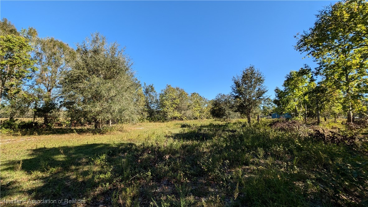 3605 Rabbit Run Road Wauchula, FL 33873 - Photo 5 of 50 a view of a yard with a tree