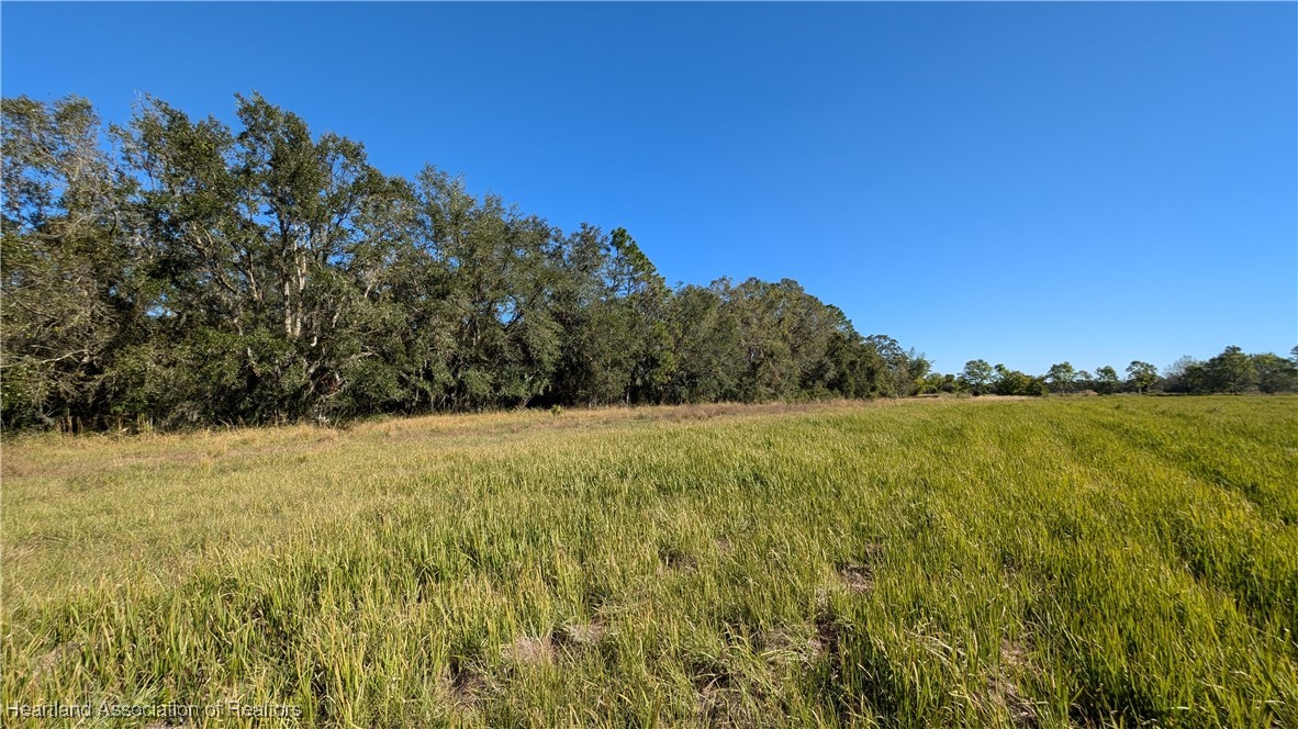 3605 Rabbit Run Road Wauchula, FL 33873 - Photo 6 of 50 a view of lake view and mountain view
