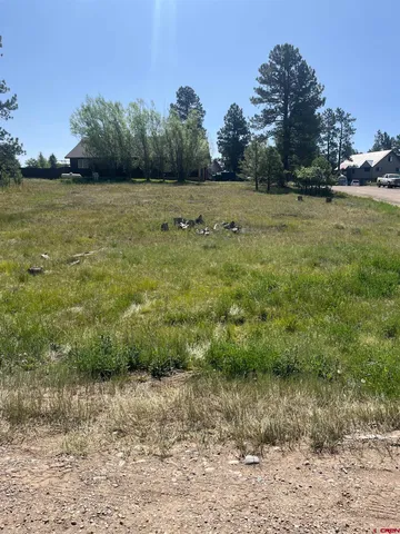 $45,000 | 20 La Costa Court, Pagosa Springs, CO 81147