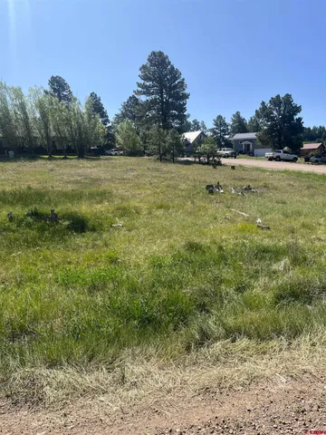 $45,000 | 20 La Costa Court, Pagosa Springs, CO 81147