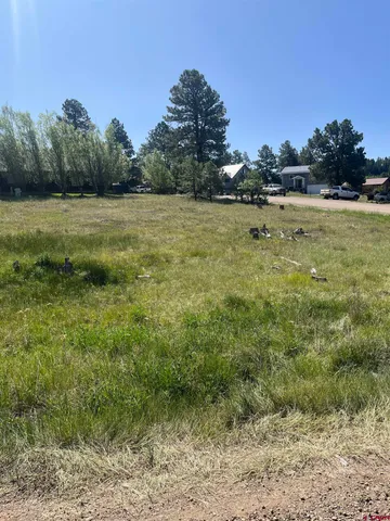 $45,000 | 20 La Costa Court, Pagosa Springs, CO 81147