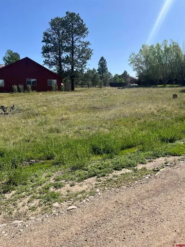 $45,000 | 20 La Costa Court, Pagosa Springs, CO 81147