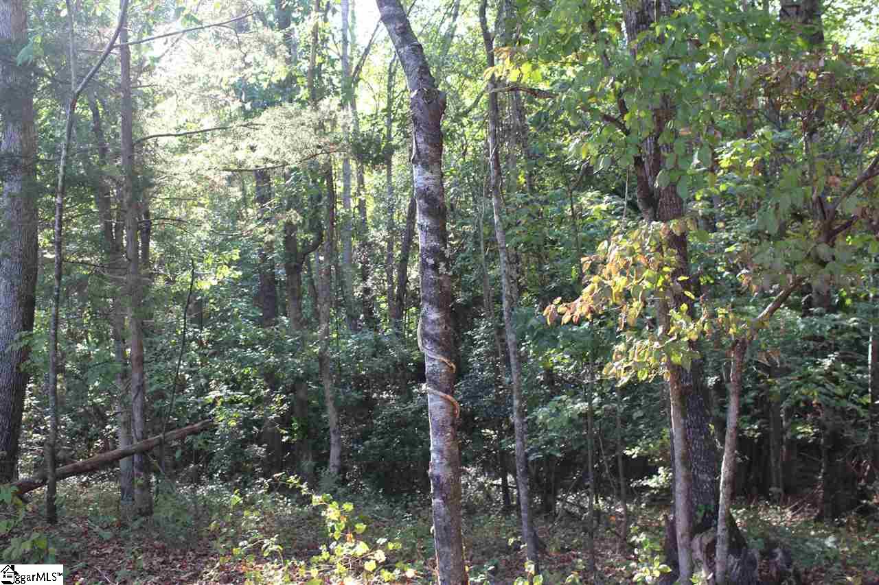 145 St Albans School Road Piedmont, SC 29673 - Photo 6 of 9 Gallery Image 6
