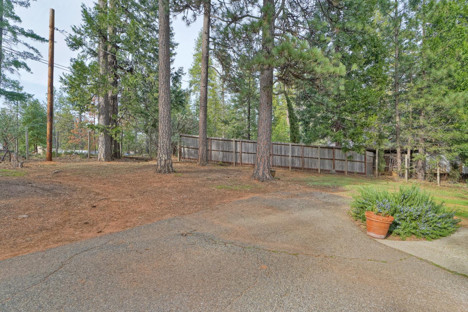 5781 Sly Park Road Pollock Pines, CA 95726 - Photo 8 of 42