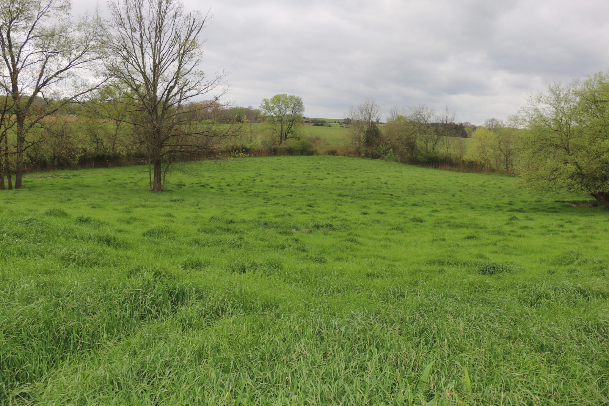 551 Campground Road Madisonville, TN 37354 - Photo 8 of 12 Gallery Image 8