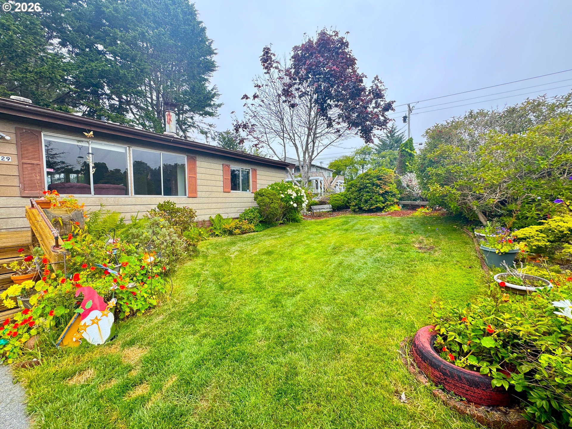 1029 Fifield Street Brookings, OR 97415 - Photo 5 of 44 Front Yard