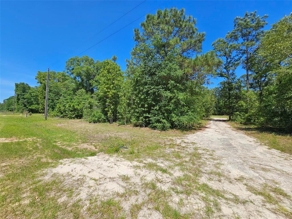 Northwest Pin Oak Lane Jennings, FL 32053 - Photo 1 of 1