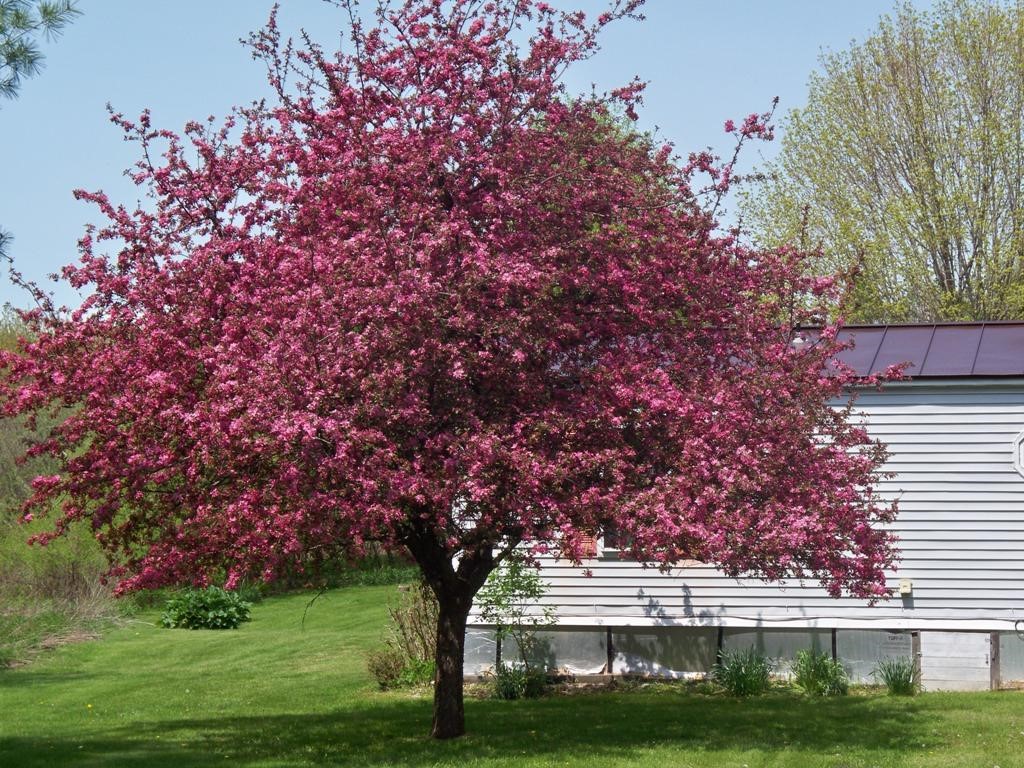 883 Plains Road Pittsford, VT 05763 - Photo 3 of 24