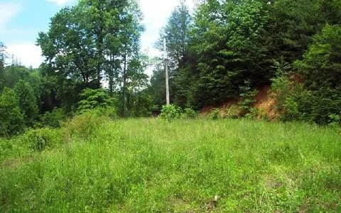 44 Dinkins Creek Road Murphy, NC 28906 - Photo 1 of 7 Main View