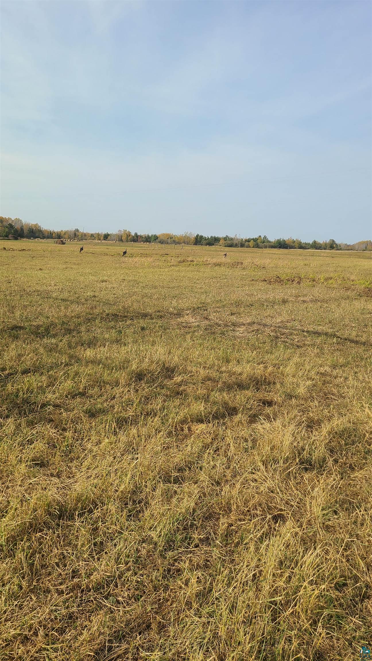 35-xx County Rd F Maple, WI 54854 - Photo 2 of 4 Gallery Image 2