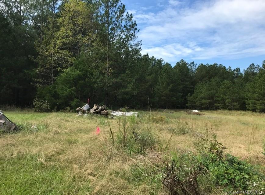 4112 Austin Road Monroe, NC 28112 - Photo 2 of 21