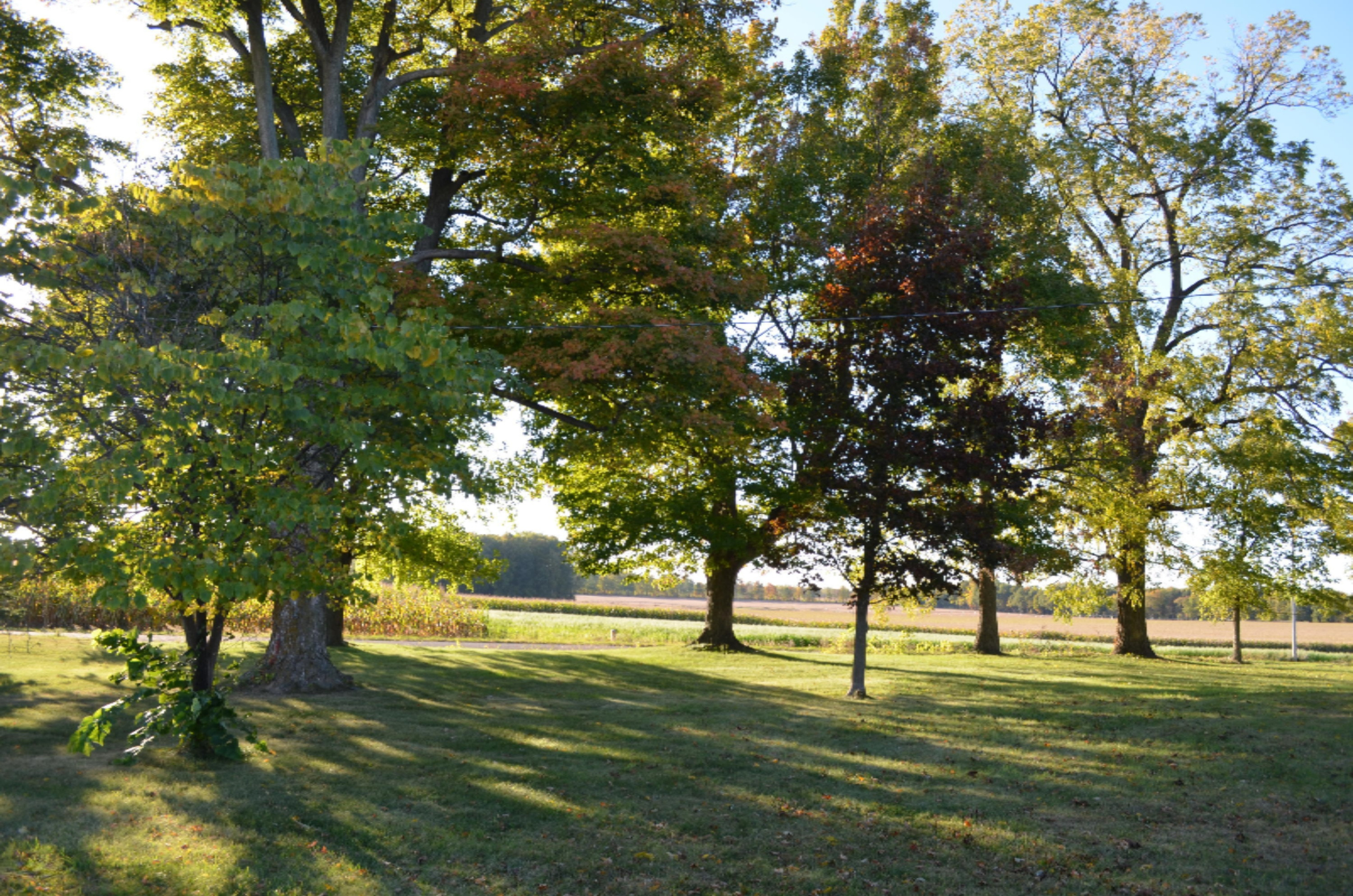 51585 Correll Road Leonidas, MI 49066 - Photo 7 of 31 DSC_0355