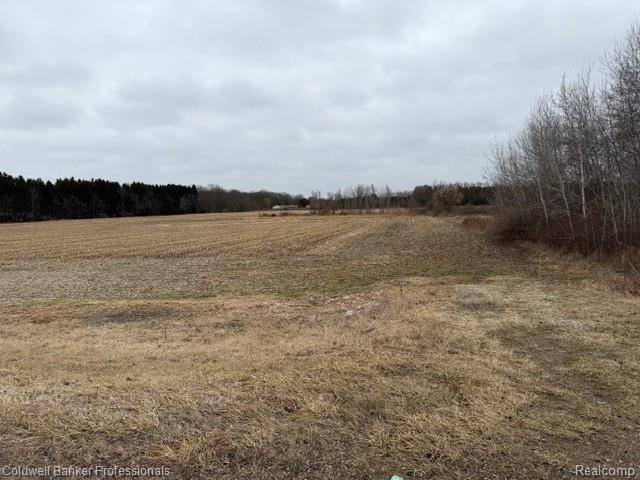 Vl North Branch Road North Branch, MI 48461 - Photo 4 of 5