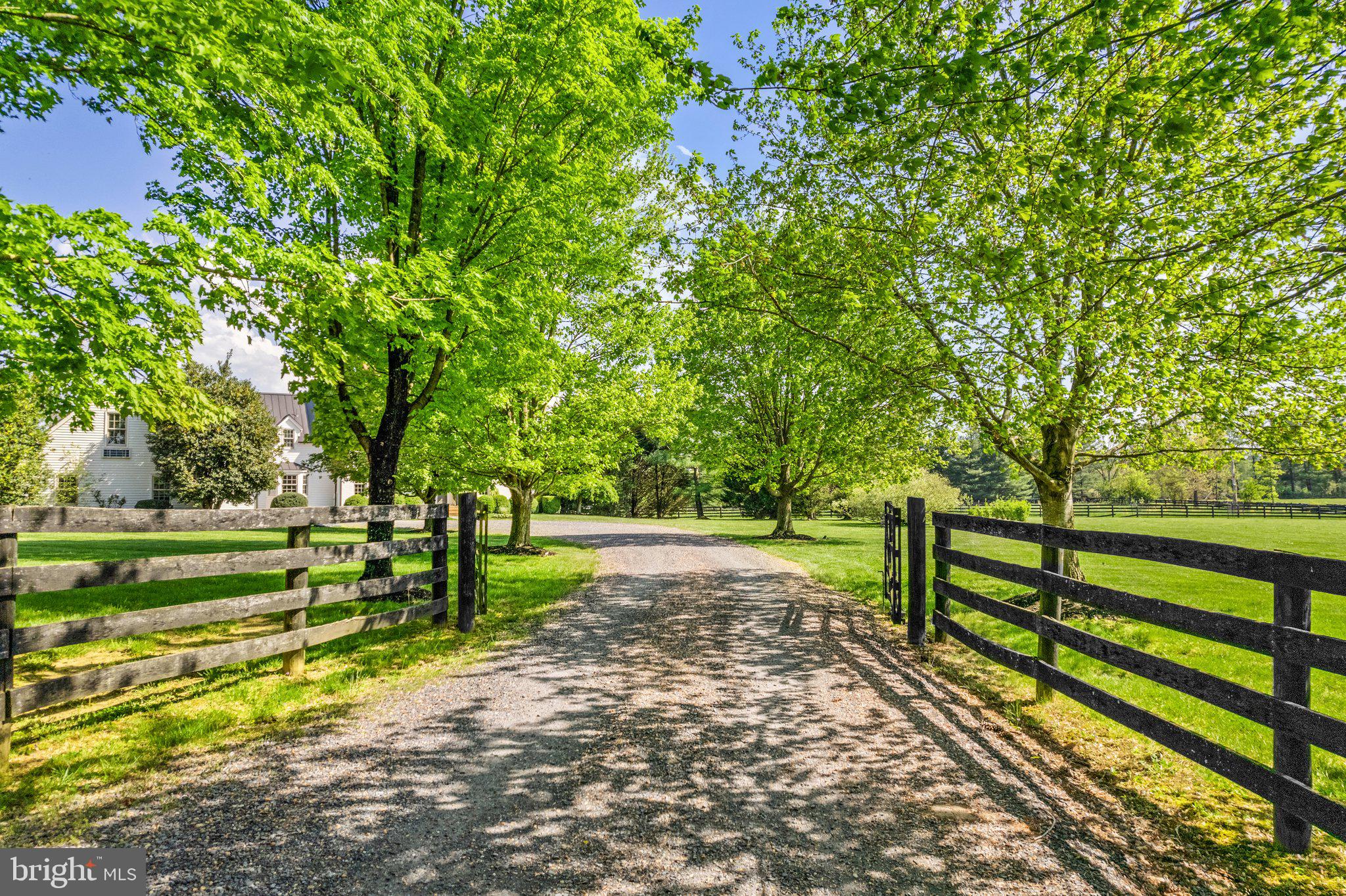 35919 Turkey Roost Road Middleburg, VA 20117 - Photo 3 of 46 Gallery Image 3
