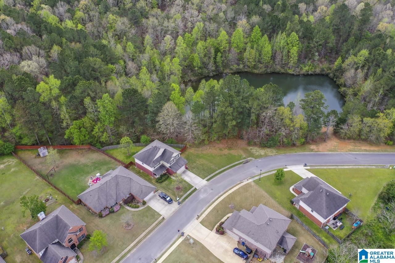 516 River Crest Way Helena, AL 35080 - Photo 47 of 50