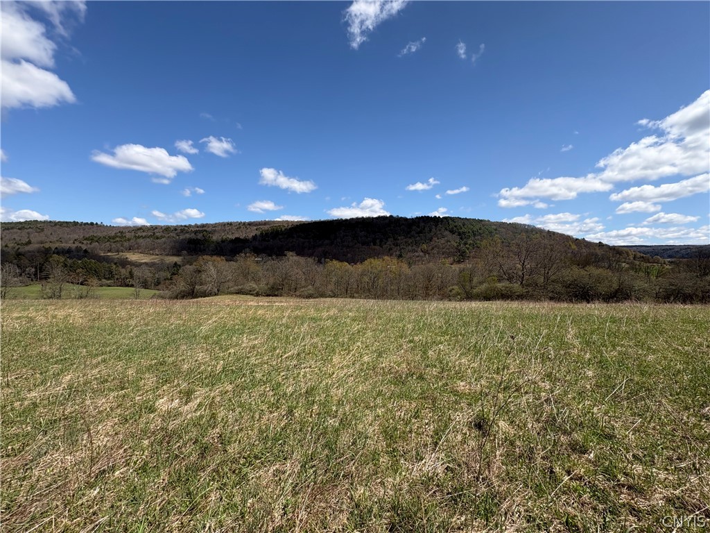 3838 Union Valley Road Taylor, NY 13052 - Photo 1 of 14 View from road frontage toward back of property. T