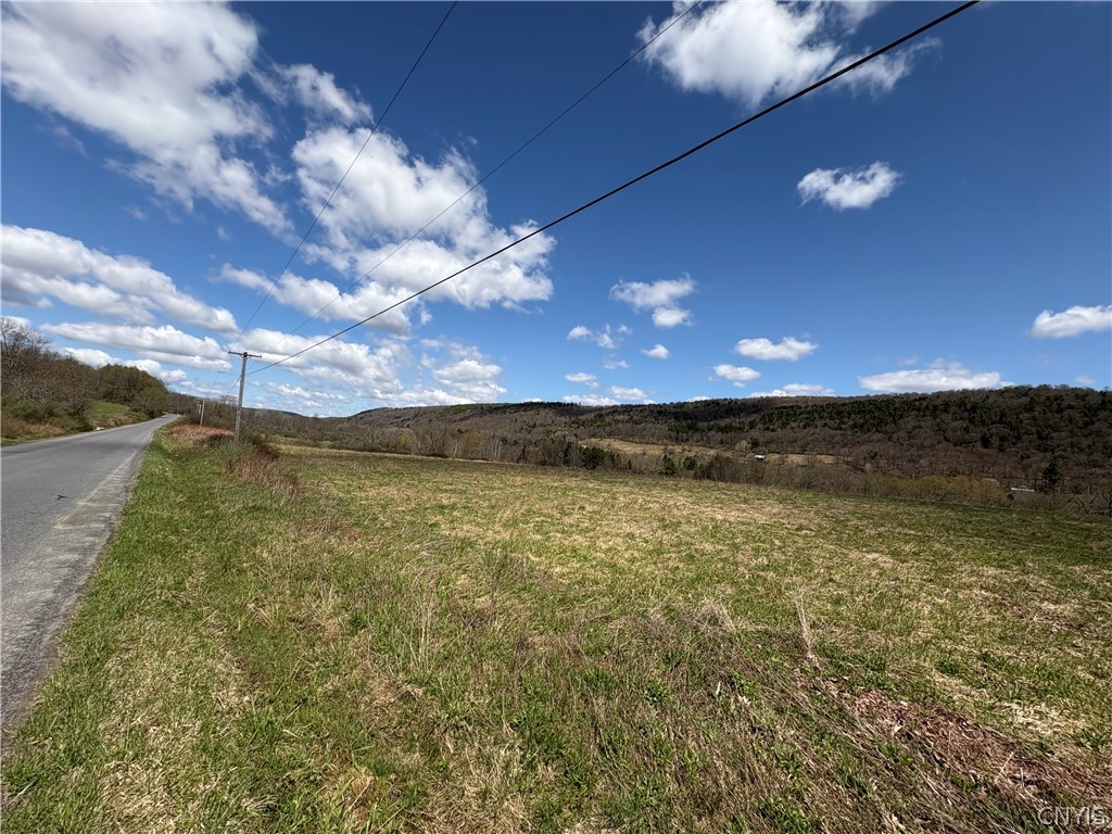 3838 Union Valley Road Taylor, NY 13052 - Photo 3 of 14 View of roadside from Southerly property front cor