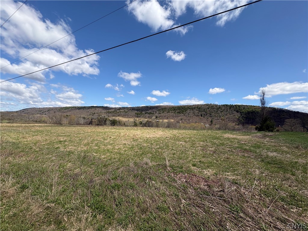 3838 Union Valley Road Taylor, NY 13052 - Photo 5 of 14 View SE toward neighbor from SE front corner