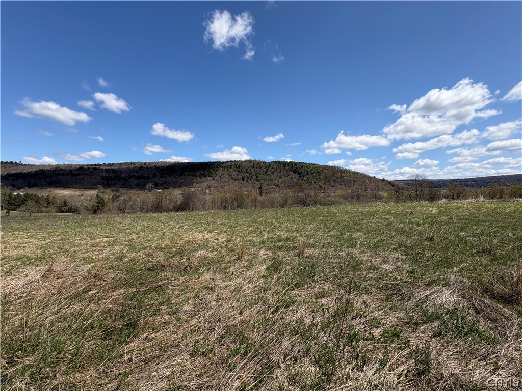 3838 Union Valley Road Taylor, NY 13052 - Photo 6 of 14
