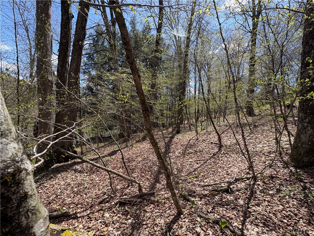 3838 Union Valley Road Taylor, NY 13052 - Photo 9 of 14 Flat area for your get-away cabin just above creek
