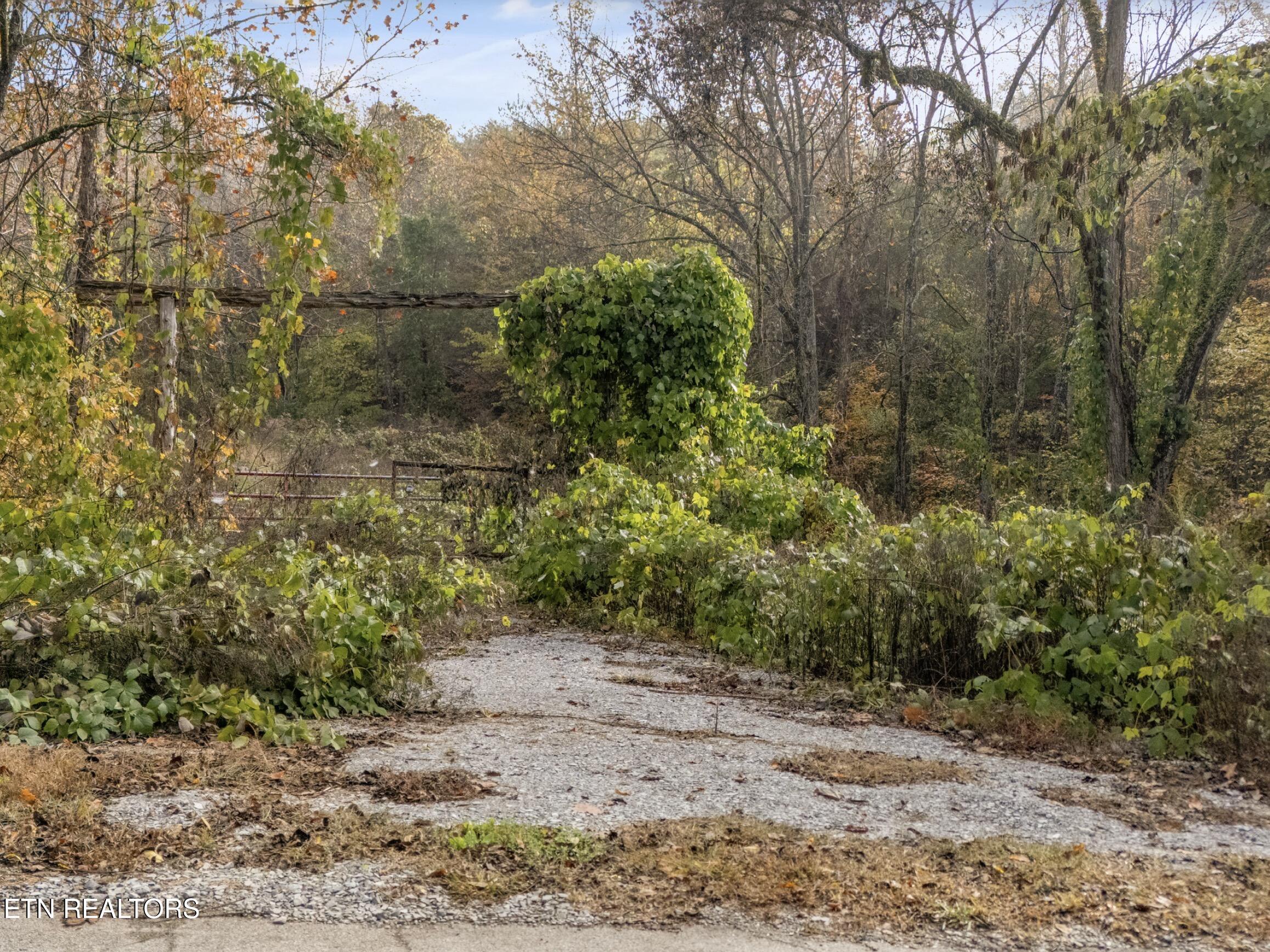 2110 Bob Irwin Road Maryville, TN 37803 - Photo 3 of 8 IMG_1526