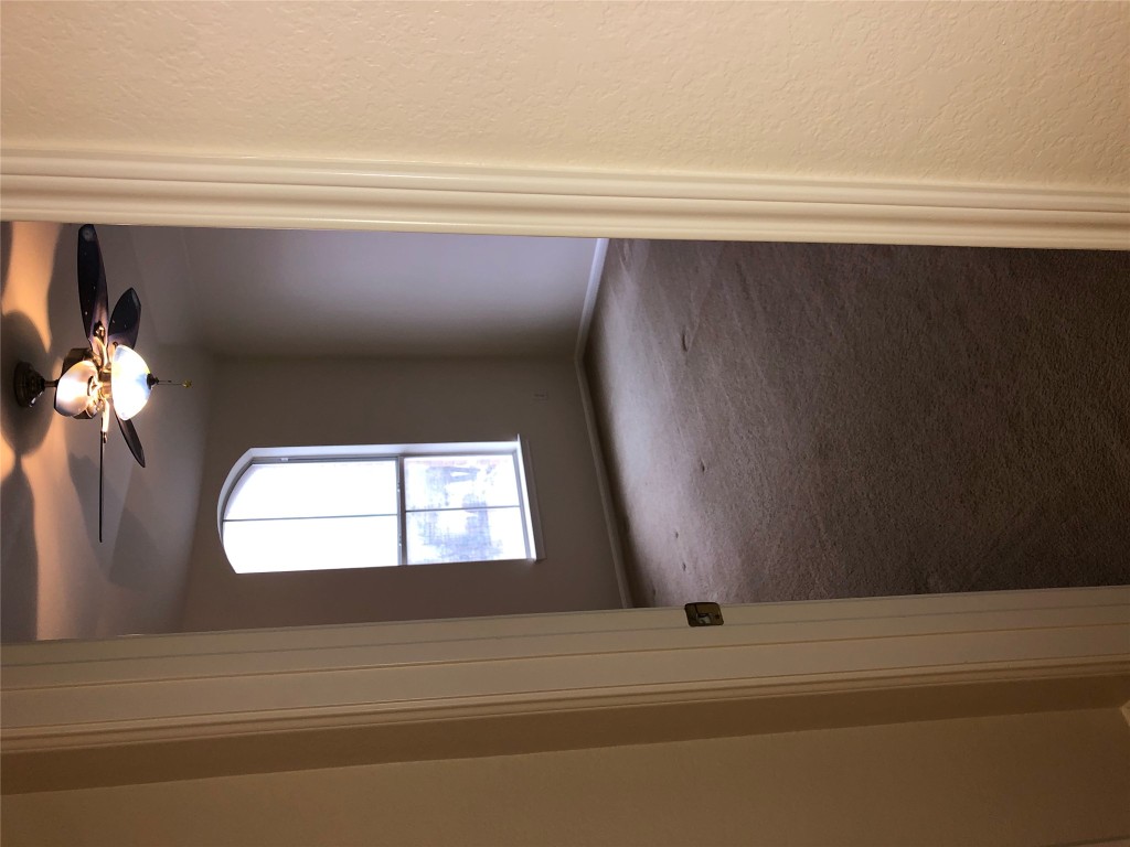3604 Roller Crossing Austin, TX 78728 - Photo 36 of 40 Empty room with carpet and a ceiling fan