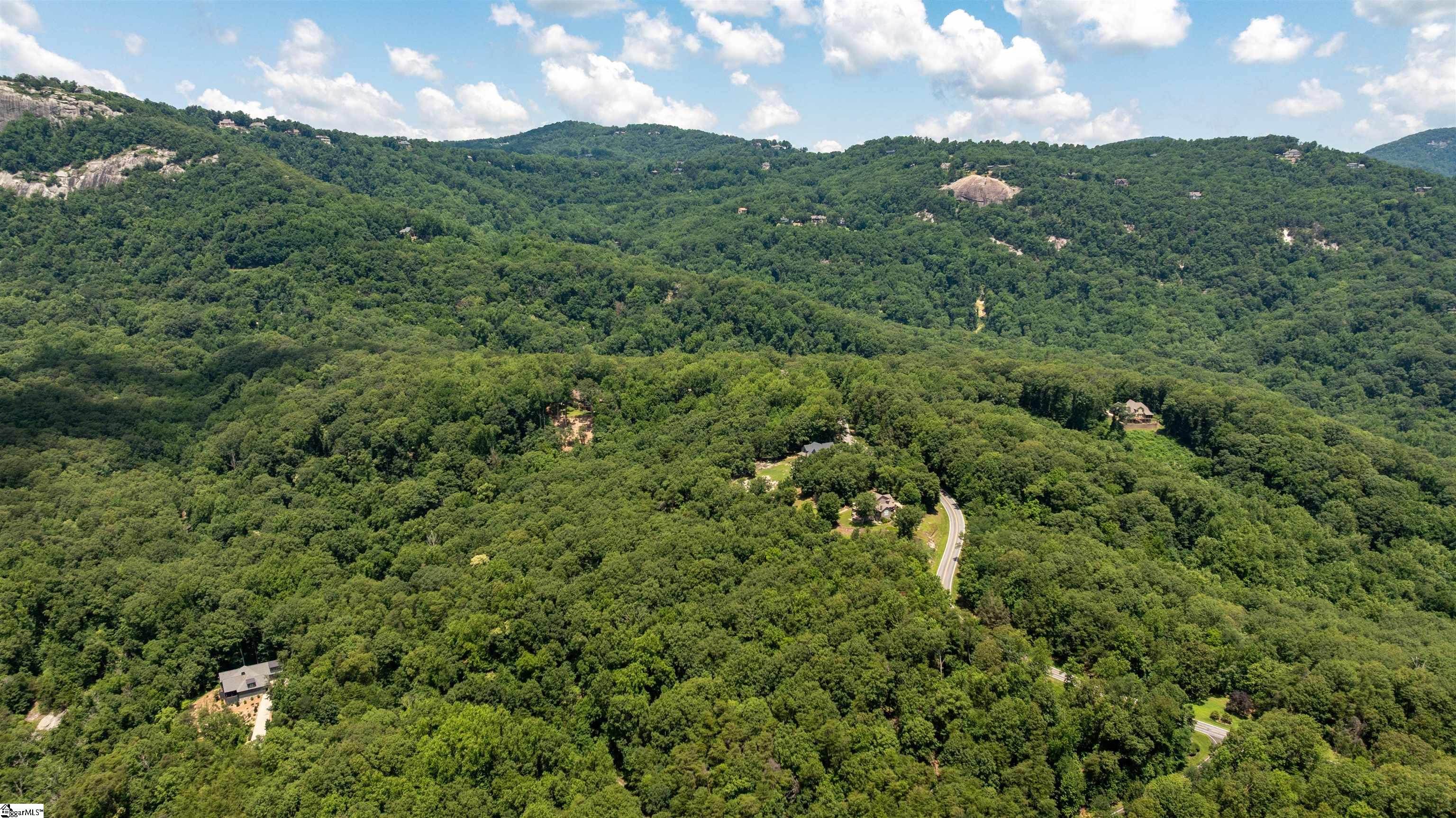 Lot 22 Plumley Summit Road Landrum, SC 29356 - Photo 10 of 27