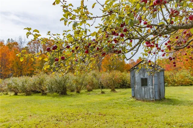 $575,000 | 181 Peraglie Road, Jefferson, NY 12093