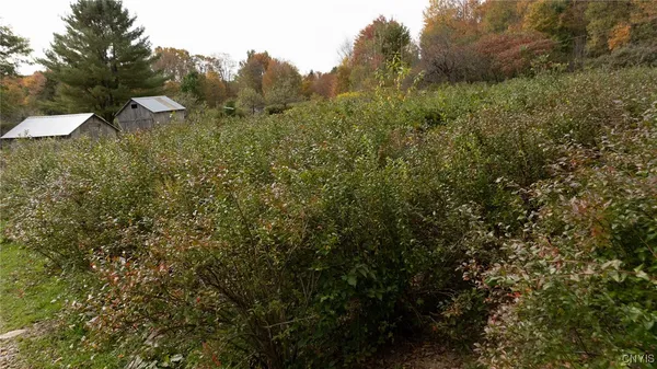 $549,500 | 181 Peraglie Road, Jefferson, NY 12093