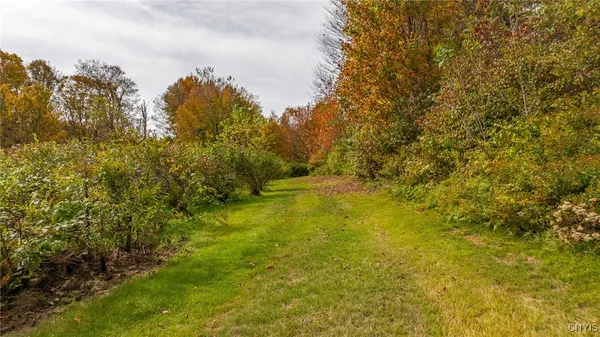 $549,500 | 181 Peraglie Road, Jefferson, NY 12093