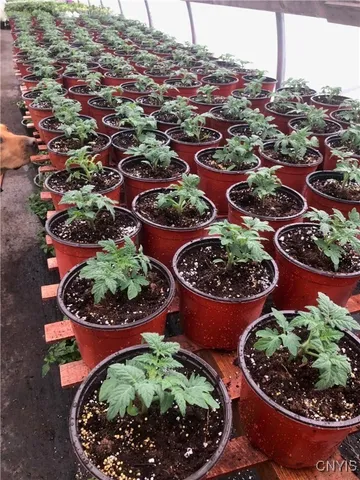 $575,000 | 181 Peraglie Road, Jefferson, NY 12093