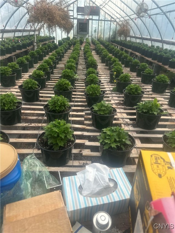 181 Peraglie Road Jefferson, NY 12093 - Photo 18 of 36