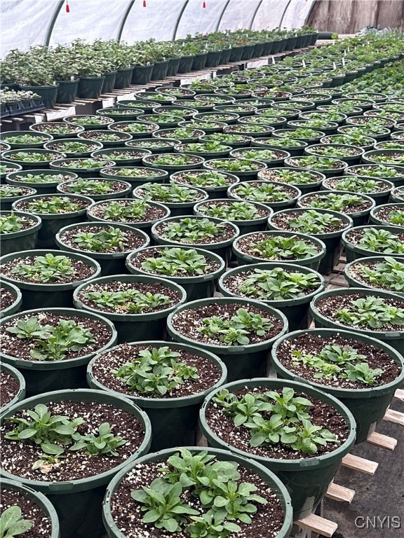 181 Peraglie Road Jefferson, NY 12093 - Photo 19 of 36