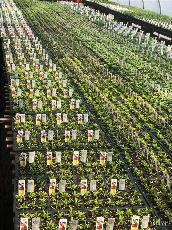 181 Peraglie Road Jefferson, NY 12093 - Photo 21 of 36