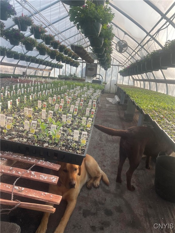 181 Peraglie Road Jefferson, NY 12093 - Photo 22 of 36