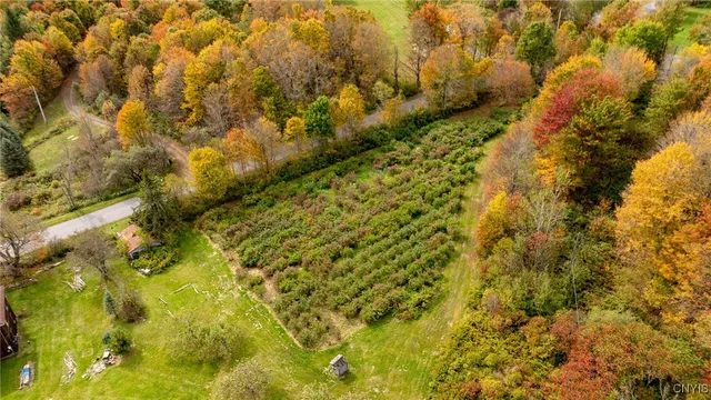 $575,000 | 181 Peraglie Road, Jefferson, NY 12093