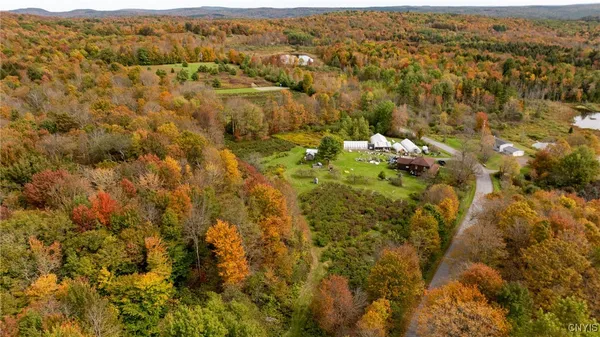 $549,500 | 181 Peraglie Road, Jefferson, NY 12093