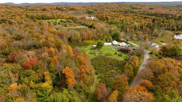 $575,000 | 181 Peraglie Road, Jefferson, NY 12093