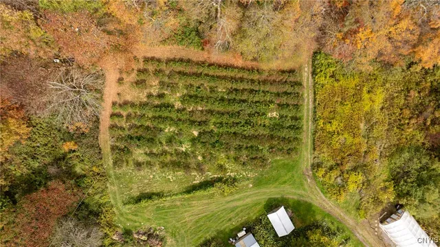 $575,000 | 181 Peraglie Road, Jefferson, NY 12093