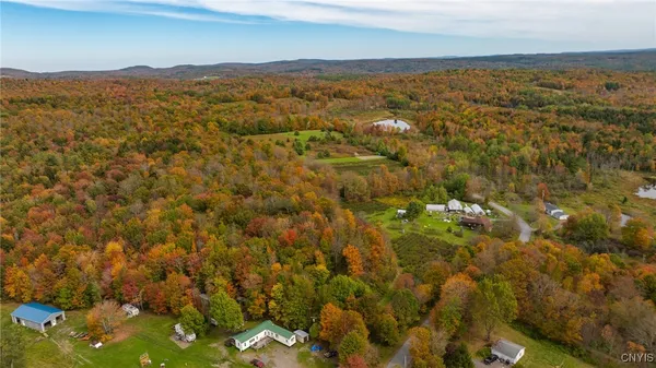 $549,500 | 181 Peraglie Road, Jefferson, NY 12093