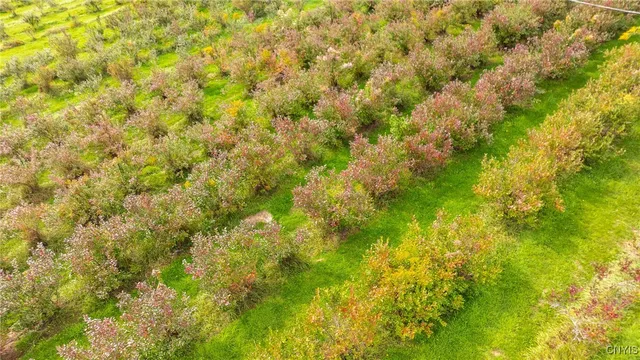 $575,000 | 181 Peraglie Road, Jefferson, NY 12093