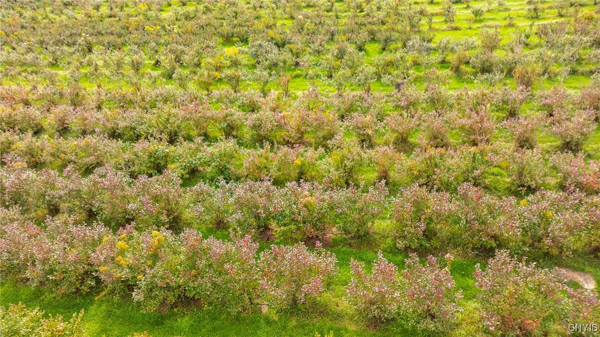 181 Peraglie Road Jefferson, NY 12093 - Photo 35 of 36