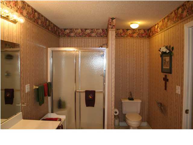 428 Spring Meadows Drive Ringgold, GA 30736 - Photo 10 of 12 Additional Photo
