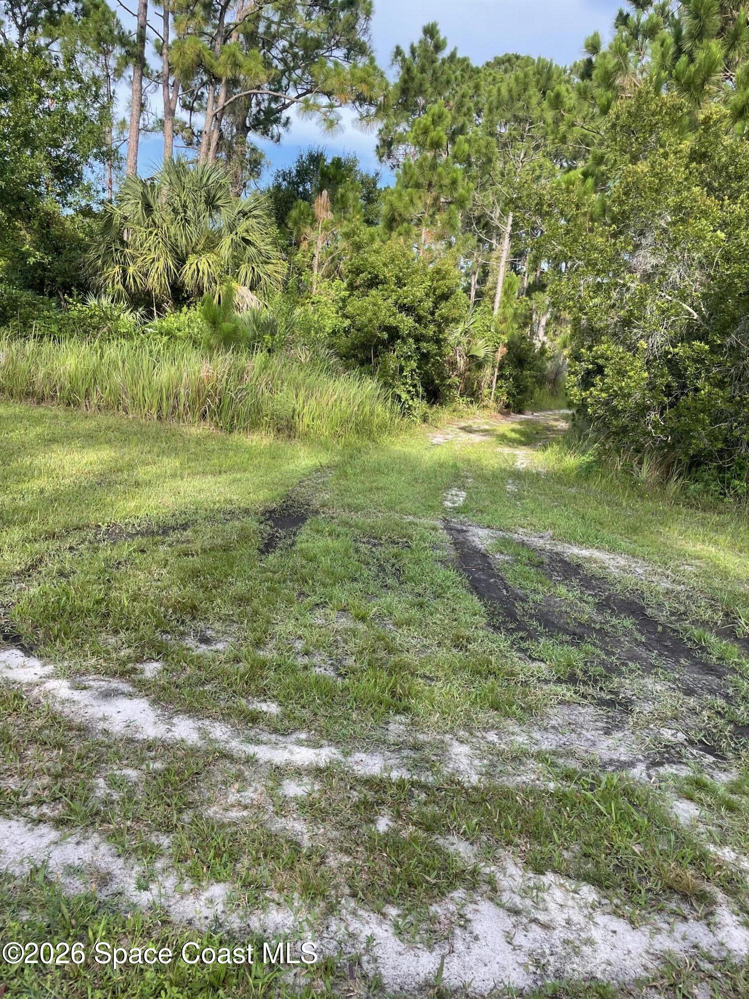 0 Unknown Boulevard Palm Bay, FL 32905 - Photo 7 of 8 a view of a lush green space