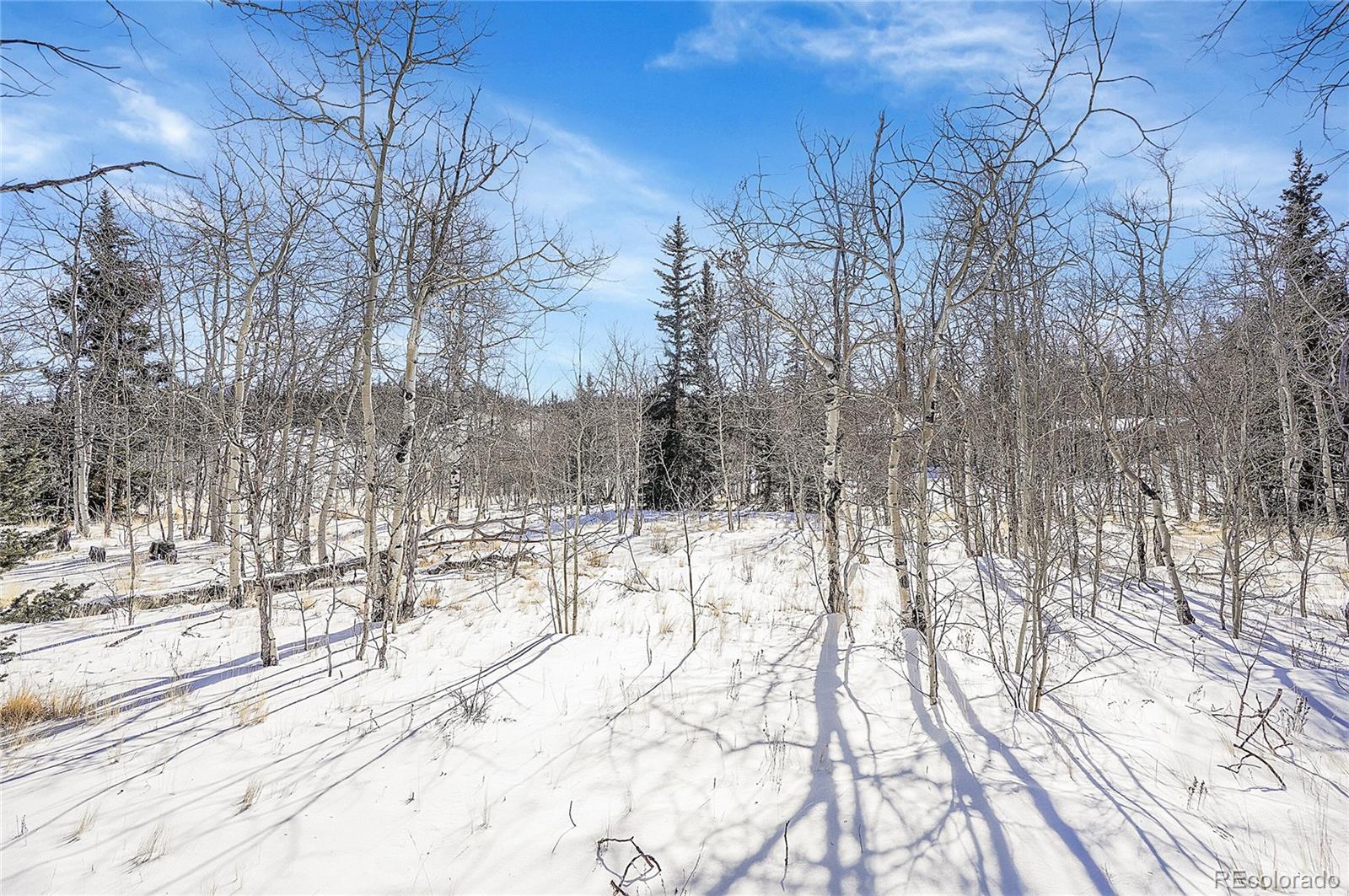 280 Apache Trail Jefferson, CO 80456 - Photo 31 of 50 a view of a yard covered in snow