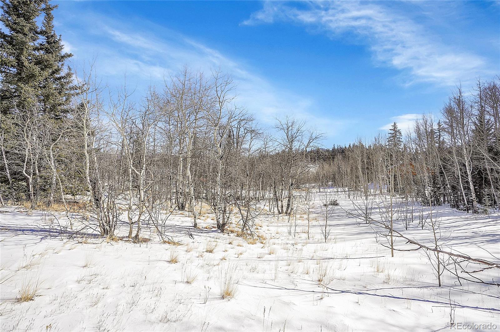 280 Apache Trail Jefferson, CO 80456 - Photo 33 of 50 a view of covered with snow