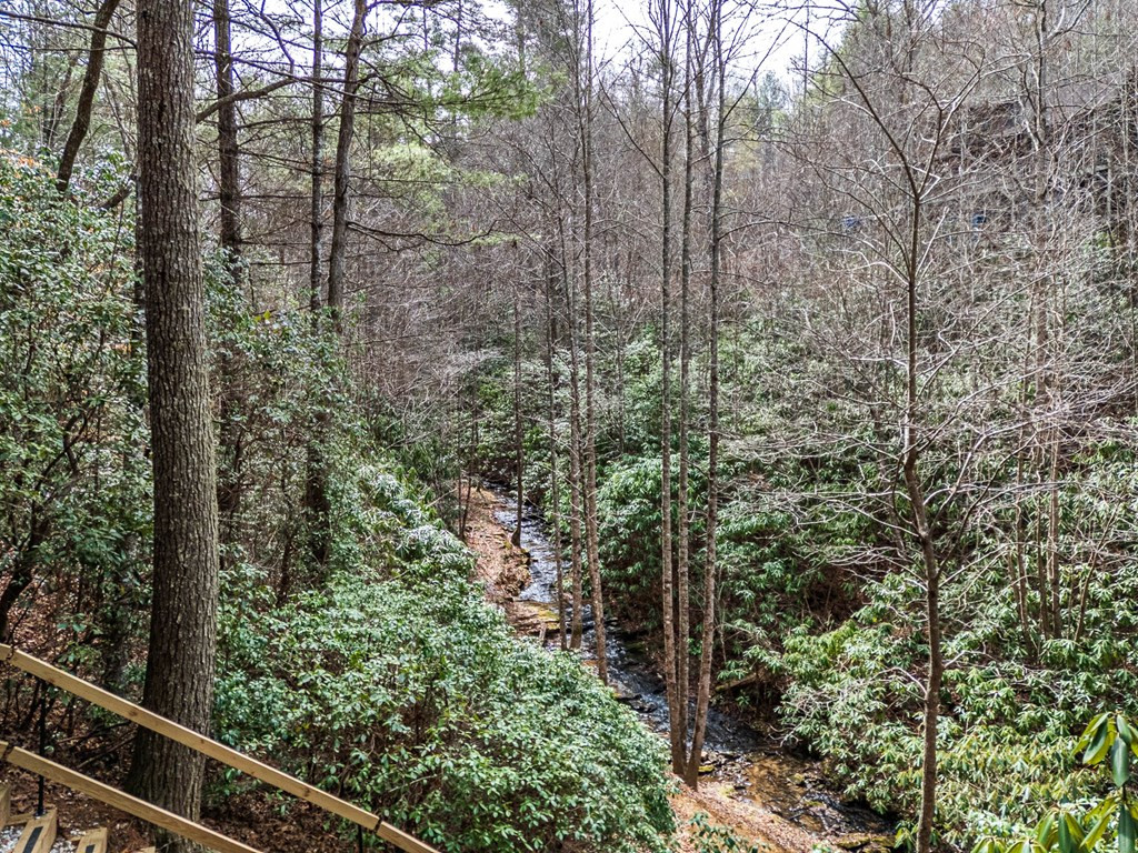 325 Trickling Branch Way Murphy, NC 28906 - Photo 37 of 58