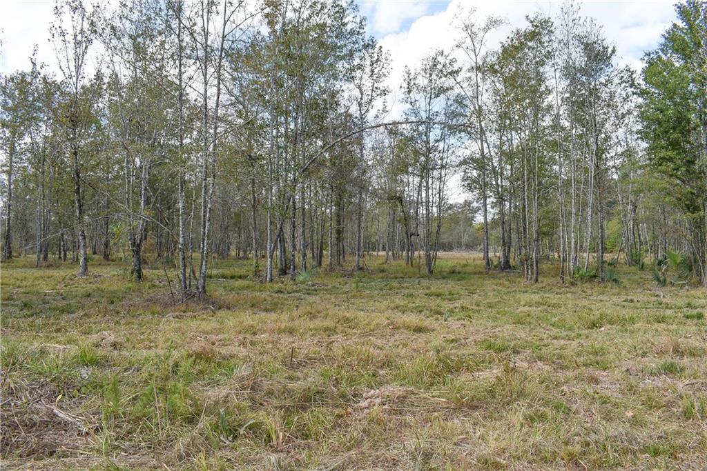 0 North Range Road Livingston, LA 70754 - Photo 4 of 7
