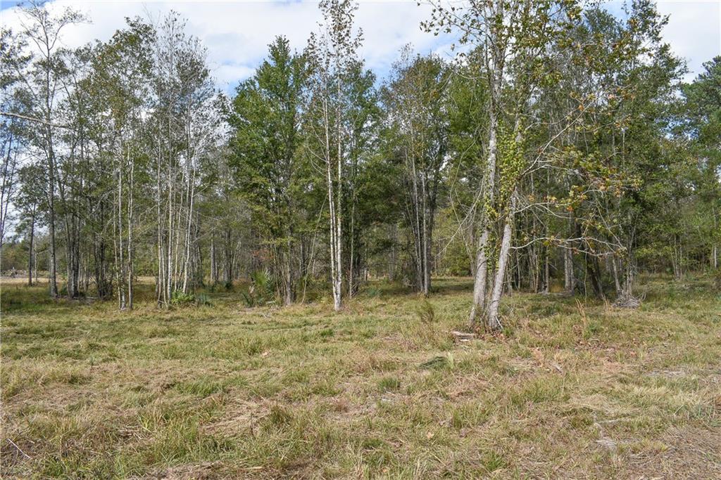 0 North Range Road Livingston, LA 70754 - Photo 5 of 7